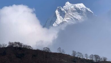Photo of हाइहाई २०२१, बाइबाई २०२०