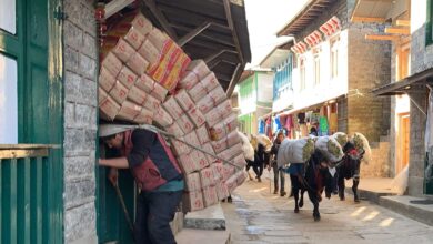 Photo of नमस्कार ! नेपालनाम्चा तपाईंको मिडिया साथी हो