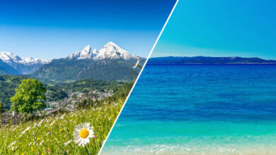 Photo of PEAKS AND WAVES, FOREVER NATURE