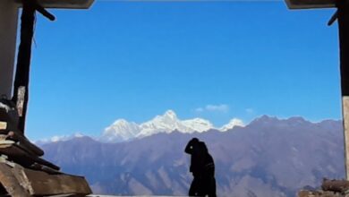 Photo of पागलै बनाउने पाङसाङ