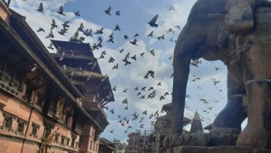 Photo of Imagining from Kathmandu to Paris, lost in ocean blue eyes