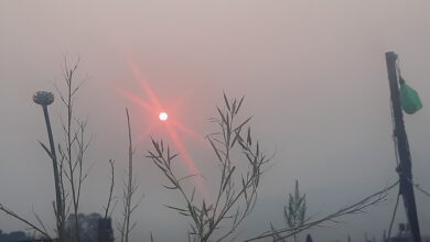 Photo of Surreal beauty in the cottony sky