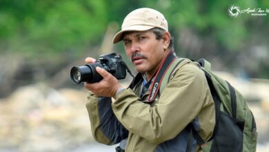 Photo of … अनि अरु थुप्रै थुप्रै कोइली