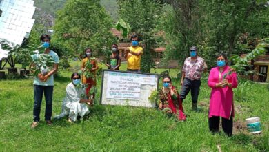 Photo of BKN, Sara Eco-Learning & Nepalmamcha planted trees