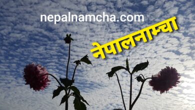 Photo of READER’S VIEW: NEPALNAMCHA IS MY ADDICTION
