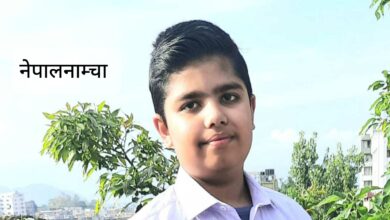 Photo of फूलिरहेका फूल, डुलिरहेछन् रमाएर पुतली हुल