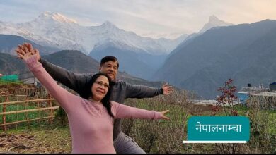 Photo of सयपत्री र मखमलीका कोपिला लाग्न थालिसकेछन्
