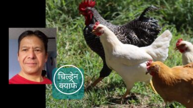 Photo of कुखुरी काँ, बासी भात न खा