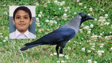 Photo of मेरो आफ्नै गीत का का का !