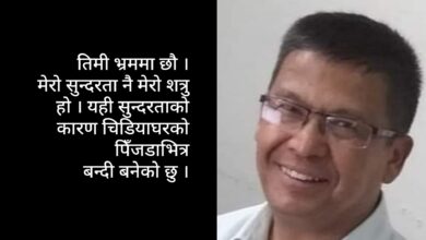 Photo of बालकथाः चीलले चङ्गा उडायो