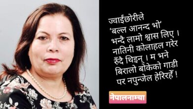 Photo of हरिया आँखा भएकी अष्ट्रेलियन बिराली आमा