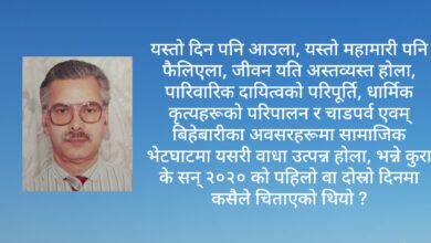 Photo of नमरी बाँचे धेरै थोक सुन्न, हेर्न र खान पाइन्छ बाबु !
