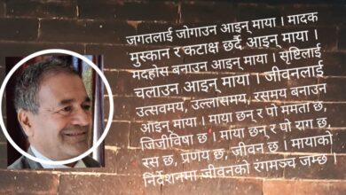 Photo of मायाको मोहनी मदिरा झैं मादक