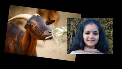 Photo of … अनि खैरीले चञ्चले पाठी जन्माई