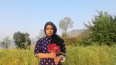 Photo of Travel Diary: No into Yes & Rhododendron