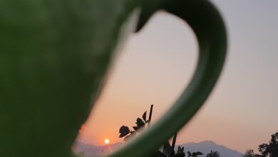 Photo of A message of HOPE