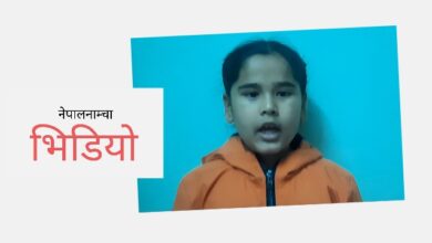 Photo of पढ्छन् युरो स्कूल छाउनी, गज्जब गाउनी