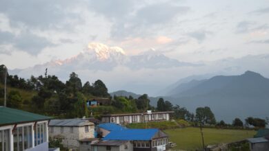 Photo of पोखराबाट काँडे, काँडेबाट आहा ! अष्ट्रेलियन क्याम्प