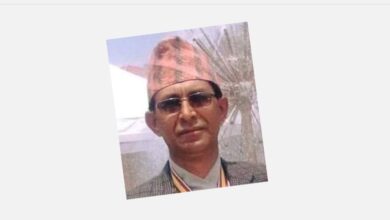 Photo of पहिले द्वन्दले, अहिले बाँदरले रित्तो पहाड