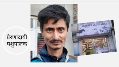 Photo of साउदी अरबमा गाडी चलाएर जे पाएनन्, स्वदेशमा गाई पालेर पाए