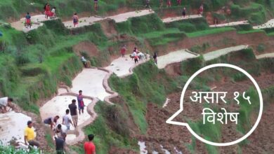 Photo of पर्यटन र कृषि जोड्न गोरखाको गण्डकीमा ‘भिटोफ रोपाईं महोत्सव’