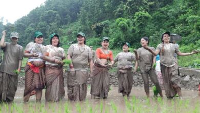 Photo of बेठी सम्झाउने गरी भिटोफले धान रोप्यो, हिलो खेल्यो, नाच्यो, गायो