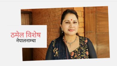 Photo of कोपिला, जो ठमेल आएर फूल बनिन्