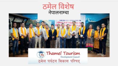 Photo of कस्ता छन् टिम भविश्वरका क्यान्डिडेट ? १५ जना १५ परिचय