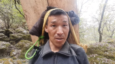 Photo of लाङटाङः काठ बोकिरहेका ओखलढुँगाका छेपालले भने, ‘सबैभन्दा गाह्रो काम काठ बोक्न’