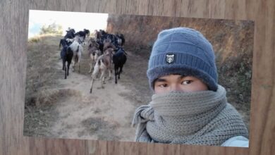 Photo of आईतकुमार बने व्यवसायिक बाख्रापालक किसान महासंघका धादिङ अध्यक्ष