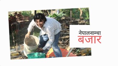 Photo of सानैमा फोहरलाई मोहर बनाउने सैनामैनाका शिवु