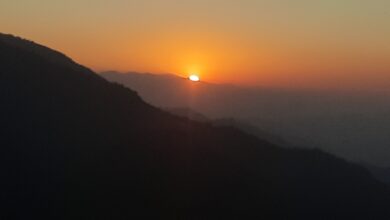 Photo of An unexpected ‘good morning’