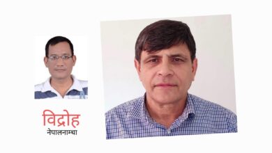 Photo of वीपी, प्रदीप र बाबुरामजस्तै राइटब्रेनवाला घनश्याम भुसालको भविष्य