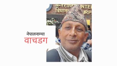 Photo of उद्योग विभाग, त्रिपुरेश्वरमा सेवाग्राहीलाई यस्तोसम्म हुँदोरहेछ