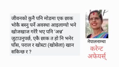 Photo of अन्न खेर नफालौं, फाले अन्नले सराप्छ