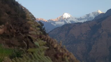 Photo of एक गिलास रक्सी छिटो हाल् भन्या