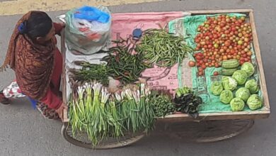 Photo of काव्यमा चिचिण्डो, रायो/लट्टे, बन्दा, फूलकोबी, सिमी, भाण्टा, पिँडालु र ब्रोकाउली