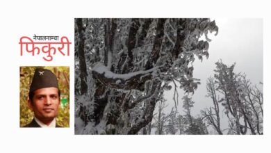 Photo of जहाँ गुराँसका बोटमा हिउँ फुल्छन्, जहाँ गुराँसका बोटबाट हिउँ झर्छन्