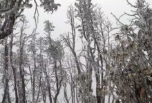 Photo of कम्युनिष्ट नेताका बोली किन बिग्रेको ?