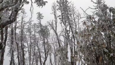 Photo of कम्युनिष्ट नेताका बोली किन बिग्रेको ?