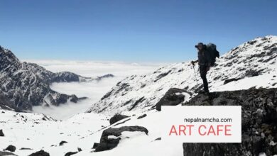 Photo of Traveler in Adventure