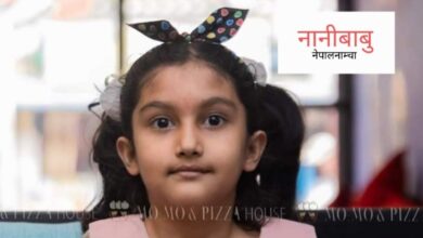 Photo of फूलबारीमा धेरै फूल हुन्छन्, माहुरी र पुतली घुम्छन्