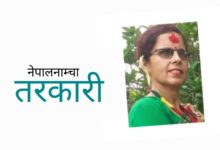 Photo of काउली: झट्ट हेर्दा फूलजस्तै छेउछाउमा पात, साना-साना पोथ्रामा फल लाग्ने जात