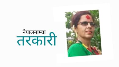 Photo of काउली: झट्ट हेर्दा फूलजस्तै छेउछाउमा पात, साना-साना पोथ्रामा फल लाग्ने जात