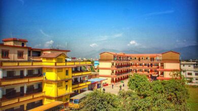 Photo of रमाइलो शुक्रबारः बुक फ्री डेमा रमाउँदै न्यू इन्भाइरन्मन्टका विद्यार्थी