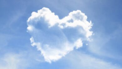 Photo of LANGUAGE OF HEART