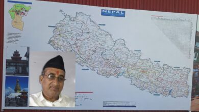 Photo of व्यवस्था वहसः बन्दुकको लाइसेन्स देखाएर बाघ भाग्दैन